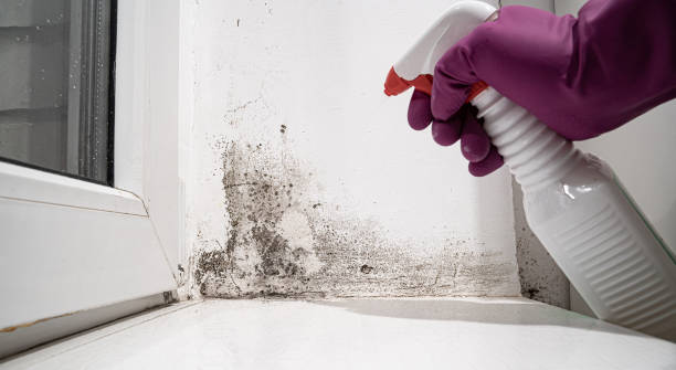 Best Water damage restoration company  in Randallstown, MD